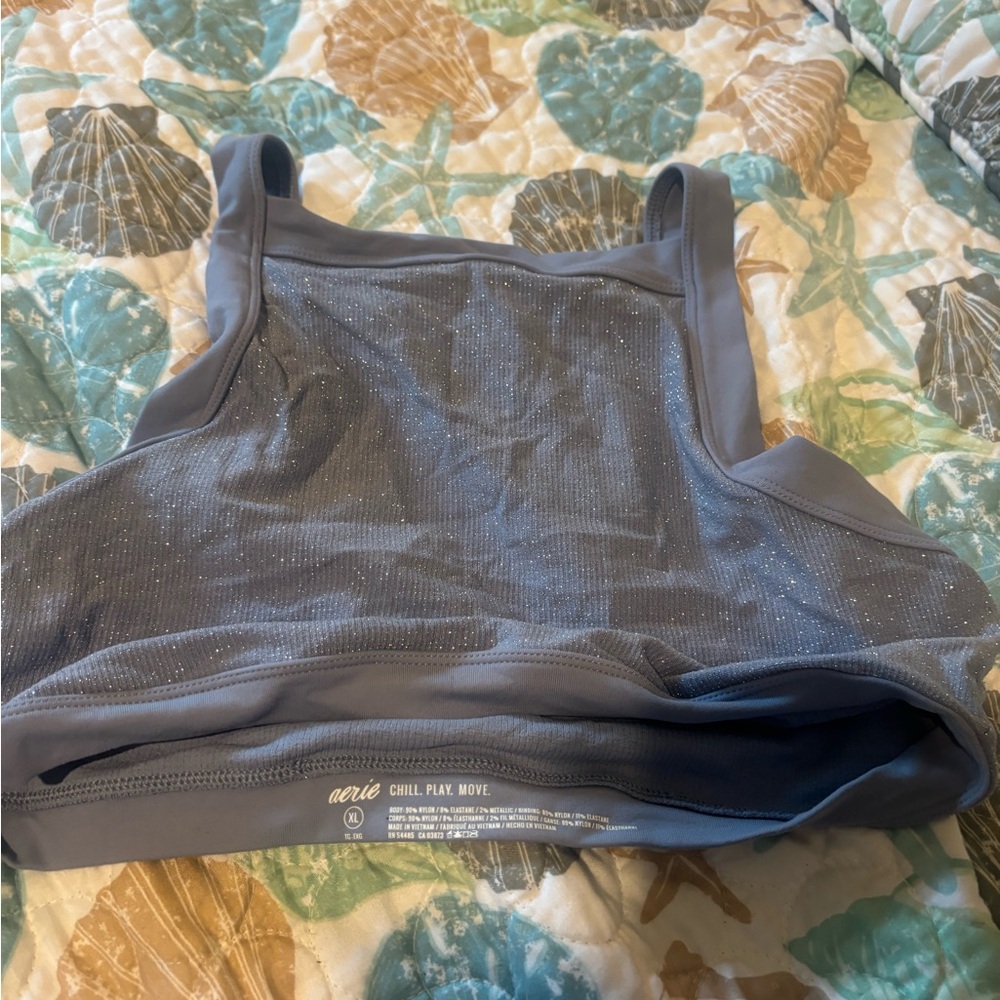Aerie Shimmering Sports Bra